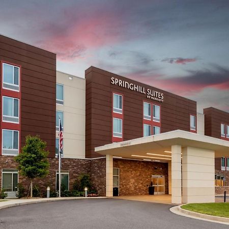 Springhill Suites Atlanta Alpharetta/Розуэлл Экстерьер фото